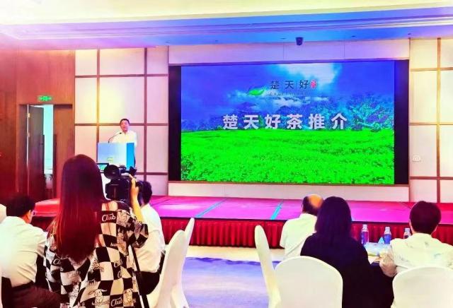 【集團(tuán)動(dòng)態(tài)】楚天好茶 相約邕江 ｜ 湖北省茶業(yè)集團(tuán)走進(jìn)楚天好茶沿海行?東盟茶會(huì)
